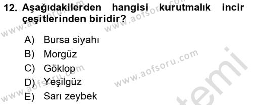 Bahçe Tarımı 2 Dersi 2020 - 2021 Yılı Yaz Okulu Sınavı 12. Soru