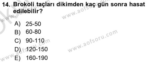 Bahçe Tarımı 2 Dersi 2020 - 2021 Yılı Yaz Okulu Sınavı 14. Soru