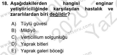 Bahçe Tarımı 2 Dersi 2020 - 2021 Yılı Yaz Okulu Sınavı 18. Soru