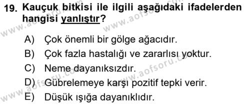 Bahçe Tarımı 2 Dersi 2020 - 2021 Yılı Yaz Okulu Sınavı 19. Soru