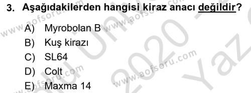 Bahçe Tarımı 2 Dersi 2020 - 2021 Yılı Yaz Okulu Sınavı 3. Soru