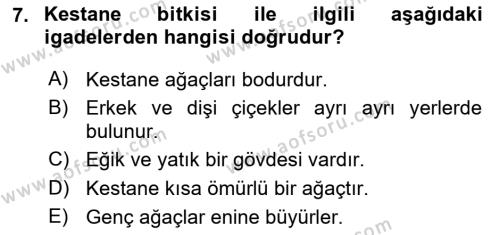 Bahçe Tarımı 2 Dersi 2020 - 2021 Yılı Yaz Okulu Sınavı 7. Soru