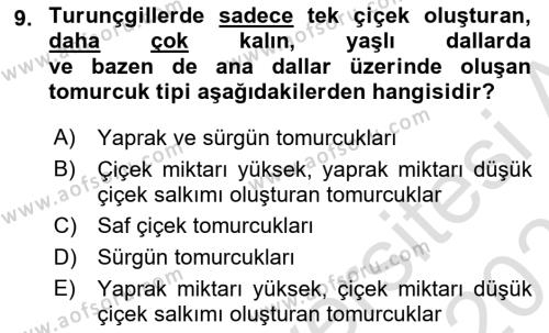 Bahçe Tarımı 2 Dersi 2020 - 2021 Yılı Yaz Okulu Sınavı 9. Soru