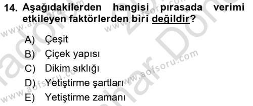 Bahçe Tarımı 2 Dersi 2021 - 2022 Yılı (Final) Dönem Sonu Sınavı 14. Soru