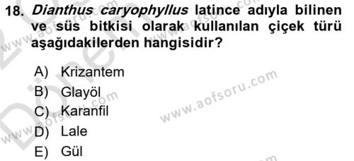 Bahçe Tarımı 2 Dersi 2021 - 2022 Yılı (Final) Dönem Sonu Sınavı 18. Soru