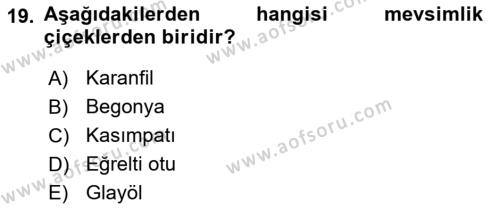 Bahçe Tarımı 2 Dersi 2021 - 2022 Yılı (Final) Dönem Sonu Sınavı 19. Soru