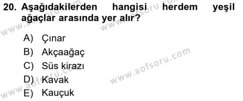 Bahçe Tarımı 2 Dersi 2021 - 2022 Yılı (Final) Dönem Sonu Sınavı 20. Soru