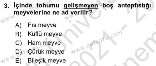 Bahçe Tarımı 2 Dersi 2021 - 2022 Yılı (Final) Dönem Sonu Sınavı 3. Soru