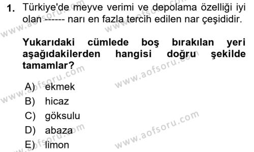 Bahçe Tarımı 2 Dersi 2021 - 2022 Yılı Yaz Okulu Sınavı 1. Soru