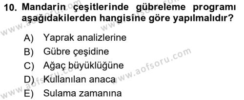 Bahçe Tarımı 2 Dersi 2021 - 2022 Yılı Yaz Okulu Sınavı 10. Soru