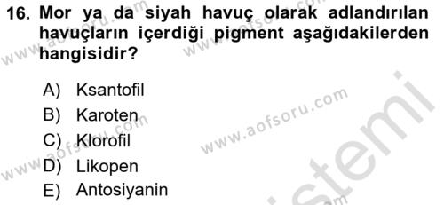 Bahçe Tarımı 2 Dersi 2021 - 2022 Yılı Yaz Okulu Sınavı 16. Soru