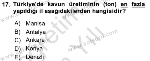 Bahçe Tarımı 2 Dersi 2021 - 2022 Yılı Yaz Okulu Sınavı 17. Soru