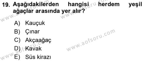 Bahçe Tarımı 2 Dersi 2021 - 2022 Yılı Yaz Okulu Sınavı 19. Soru