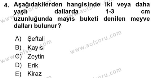 Bahçe Tarımı 2 Dersi 2021 - 2022 Yılı Yaz Okulu Sınavı 4. Soru