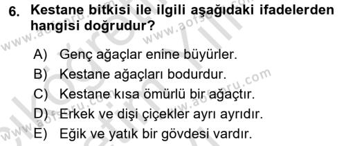 Bahçe Tarımı 2 Dersi 2021 - 2022 Yılı Yaz Okulu Sınavı 6. Soru