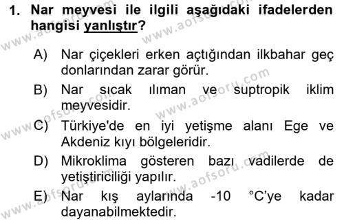 Bahçe Tarımı 2 Dersi 2023 - 2024 Yılı (Vize) Ara Sınavı 1. Soru