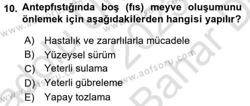 Bahçe Tarımı 2 Dersi 2023 - 2024 Yılı (Vize) Ara Sınavı 10. Soru