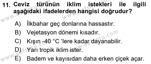 Bahçe Tarımı 2 Dersi 2023 - 2024 Yılı (Vize) Ara Sınavı 11. Soru