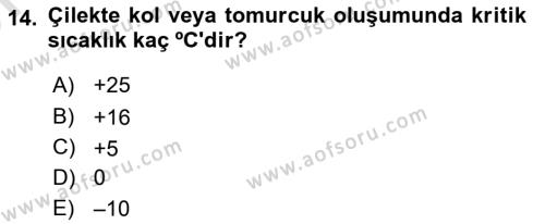 Bahçe Tarımı 2 Dersi 2023 - 2024 Yılı (Vize) Ara Sınavı 14. Soru