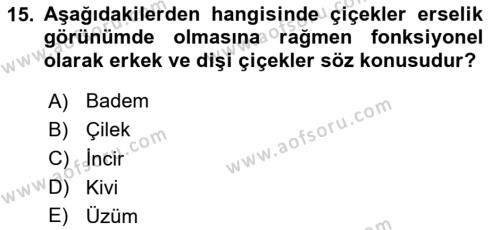 Bahçe Tarımı 2 Dersi 2023 - 2024 Yılı (Vize) Ara Sınavı 15. Soru