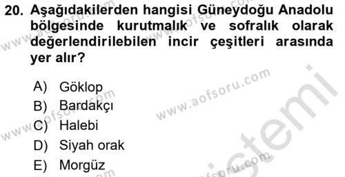 Bahçe Tarımı 2 Dersi 2023 - 2024 Yılı (Vize) Ara Sınavı 20. Soru