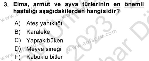 Bahçe Tarımı 2 Dersi 2023 - 2024 Yılı (Vize) Ara Sınavı 3. Soru