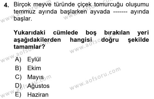 Bahçe Tarımı 2 Dersi 2023 - 2024 Yılı (Vize) Ara Sınavı 4. Soru