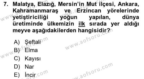 Bahçe Tarımı 2 Dersi 2023 - 2024 Yılı (Vize) Ara Sınavı 7. Soru