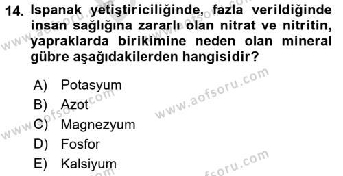 Bahçe Tarımı 2 Dersi 2023 - 2024 Yılı (Final) Dönem Sonu Sınavı 14. Soru