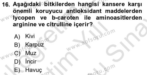 Bahçe Tarımı 2 Dersi 2023 - 2024 Yılı (Final) Dönem Sonu Sınavı 16. Soru