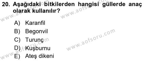 Bahçe Tarımı 2 Dersi 2023 - 2024 Yılı (Final) Dönem Sonu Sınavı 20. Soru