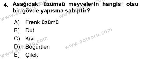 Bahçe Tarımı 2 Dersi 2023 - 2024 Yılı (Final) Dönem Sonu Sınavı 4. Soru