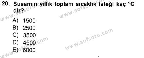 Tarla Bitkileri 2 Dersi 2012 - 2013 Yılı (Vize) Ara Sınavı 20. Soru