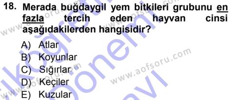 Tarla Bitkileri 2 Dersi 2012 - 2013 Yılı (Final) Dönem Sonu Sınavı 18. Soru