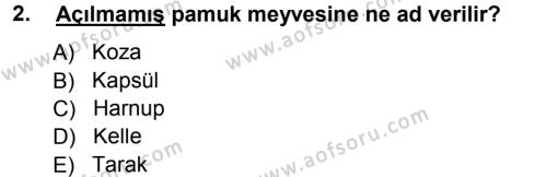Tarla Bitkileri 2 Dersi 2012 - 2013 Yılı (Final) Dönem Sonu Sınavı 2. Soru