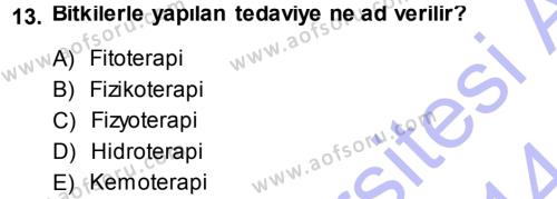 Tarla Bitkileri 2 Dersi 2013 - 2014 Yılı (Vize) Ara Sınavı 13. Soru