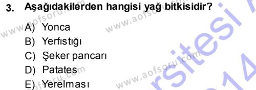 Tarla Bitkileri 2 Dersi 2013 - 2014 Yılı (Vize) Ara Sınavı 3. Soru
