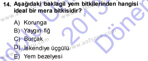 Tarla Bitkileri 2 Dersi 2013 - 2014 Yılı (Final) Dönem Sonu Sınavı 14. Soru