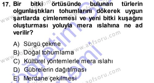 Tarla Bitkileri 2 Dersi 2013 - 2014 Yılı (Final) Dönem Sonu Sınavı 17. Soru