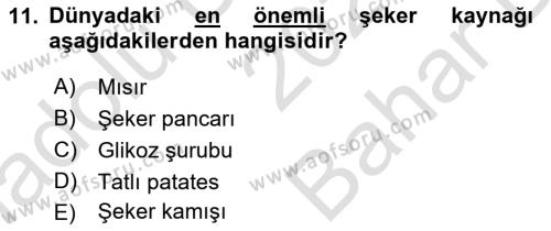 Tarla Bitkileri 2 Dersi 2023 - 2024 Yılı (Vize) Ara Sınavı 11. Soru