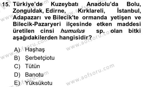 Tarla Bitkileri 2 Dersi 2023 - 2024 Yılı (Vize) Ara Sınavı 15. Soru