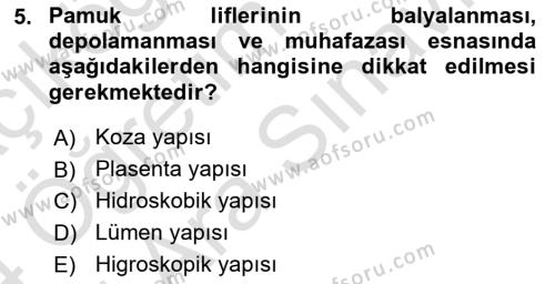 Tarla Bitkileri 2 Dersi 2023 - 2024 Yılı (Vize) Ara Sınavı 5. Soru