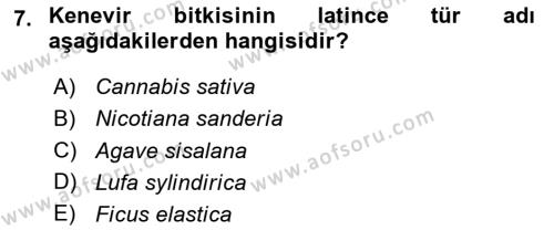 Tarla Bitkileri 2 Dersi 2023 - 2024 Yılı (Vize) Ara Sınavı 7. Soru