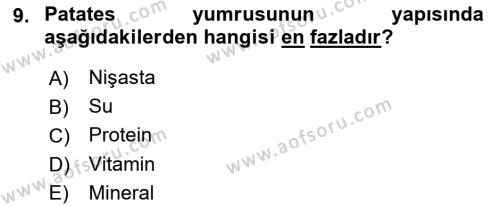 Tarla Bitkileri 2 Dersi 2023 - 2024 Yılı (Vize) Ara Sınavı 9. Soru