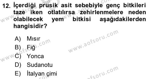 Tarla Bitkileri 2 Dersi 2023 - 2024 Yılı (Final) Dönem Sonu Sınavı 12. Soru