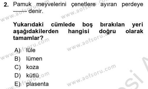 Tarla Bitkileri 2 Dersi 2023 - 2024 Yılı (Final) Dönem Sonu Sınavı 2. Soru