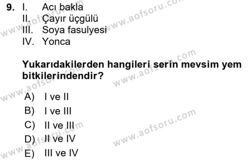 Tarla Bitkileri 2 Dersi 2023 - 2024 Yılı (Final) Dönem Sonu Sınavı 9. Soru