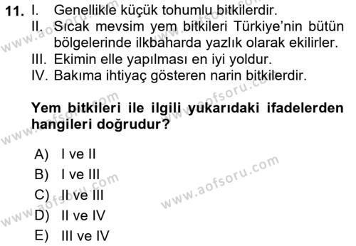 Tarla Bitkileri 2 Dersi 2023 - 2024 Yılı Yaz Okulu Sınavı 11. Soru