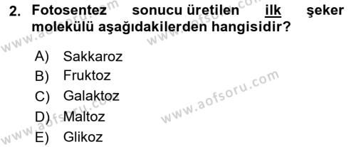 Tarla Bitkileri 2 Dersi 2023 - 2024 Yılı Yaz Okulu Sınavı 2. Soru