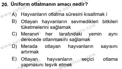 Tarla Bitkileri 2 Dersi 2023 - 2024 Yılı Yaz Okulu Sınavı 20. Soru